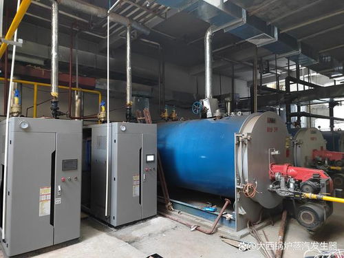燃氣蒸汽發(fā)生器設(shè)備5月份最新價格