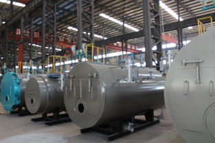 6噸燃?xì)鉄崴仩t 6噸燃?xì)鉄崴仩t價(jià)格配套圖片